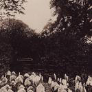 Pet cemetery in Hyde Park, London